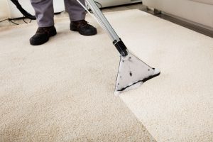 professional Carpet Cleaning cost