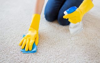 best way to remove odors from carpet
