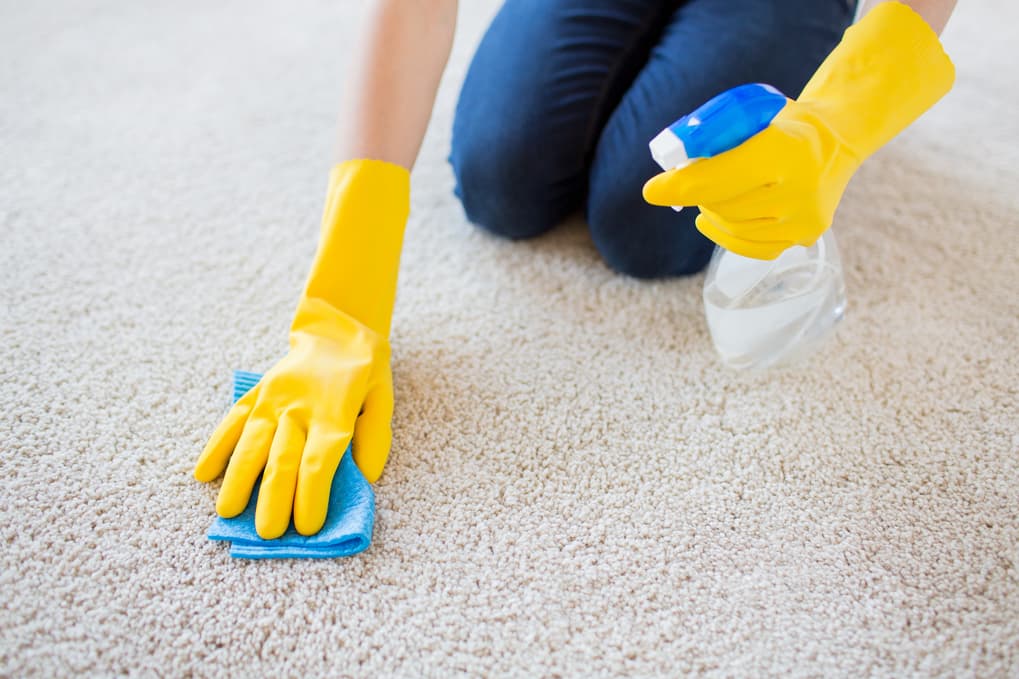 best way to remove odors from carpet