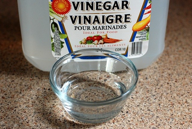 vinegar for upholstery cleaning